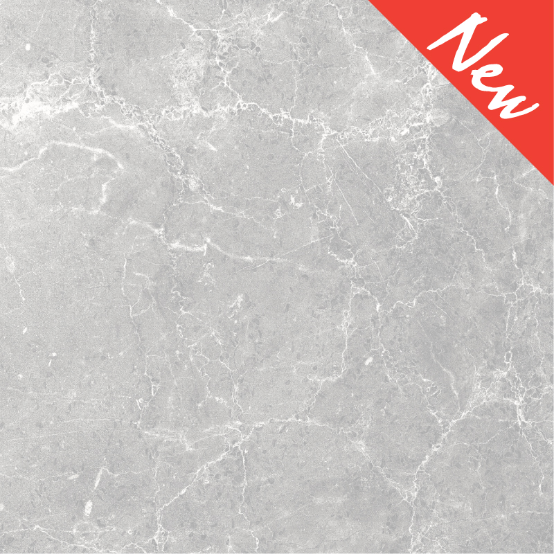 GRANITO 60X60 STARDUST PALAS